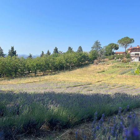 Agriturismo Villa Beatrice Mondavio エクステリア 写真