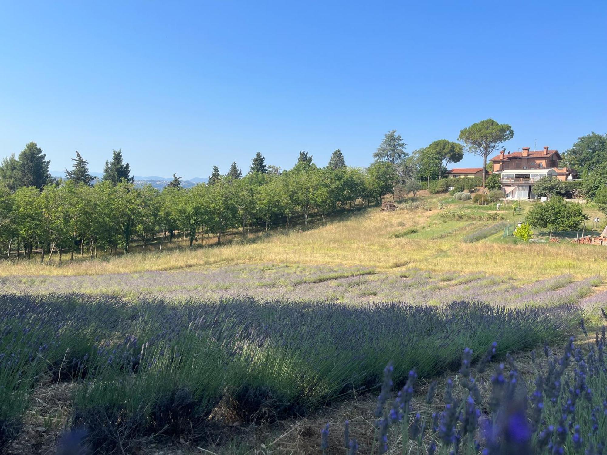 Agriturismo Villa Beatrice Mondavio エクステリア 写真